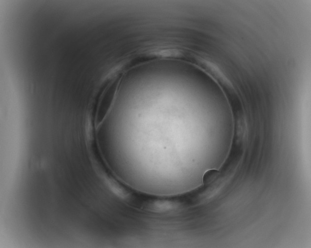 X0000115260453200911061242