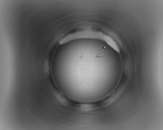 X0000115260457200911061242