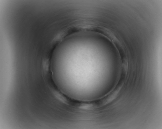 X0000115260458200911061242
