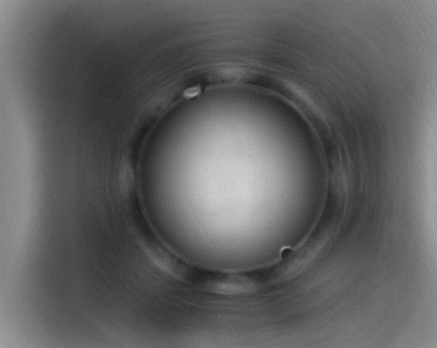 X0000115260459200911061242