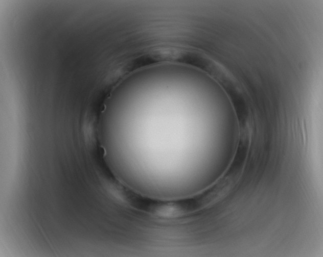 X0000115260460200911061242