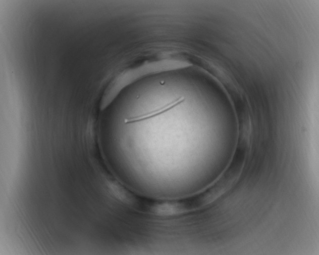 X0000115260461200911061242