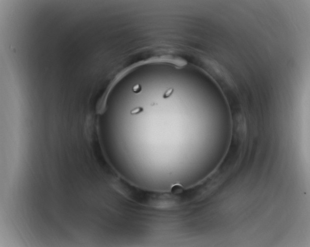 X0000115260463200911061242