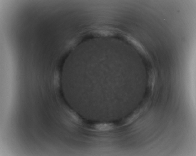 X0000115260465200911061242