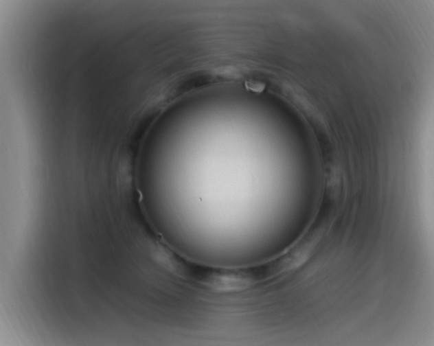 X0000115260466200911061242