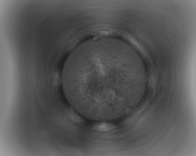 X0000115260467200911061242