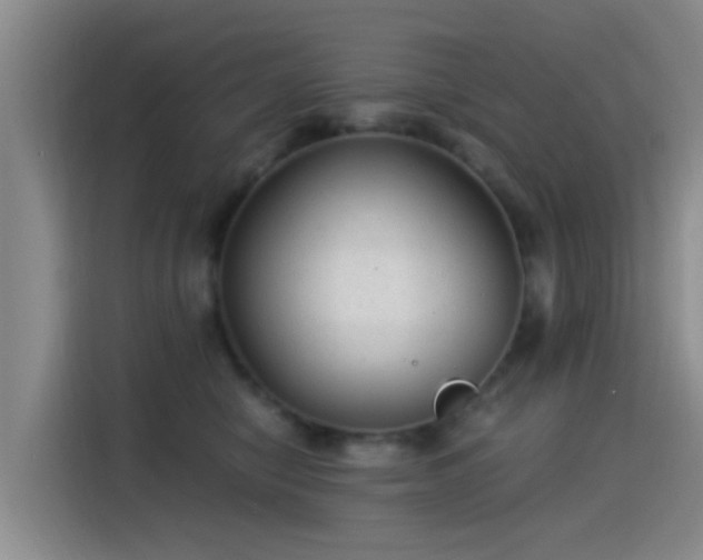 X0000115260470200911061242
