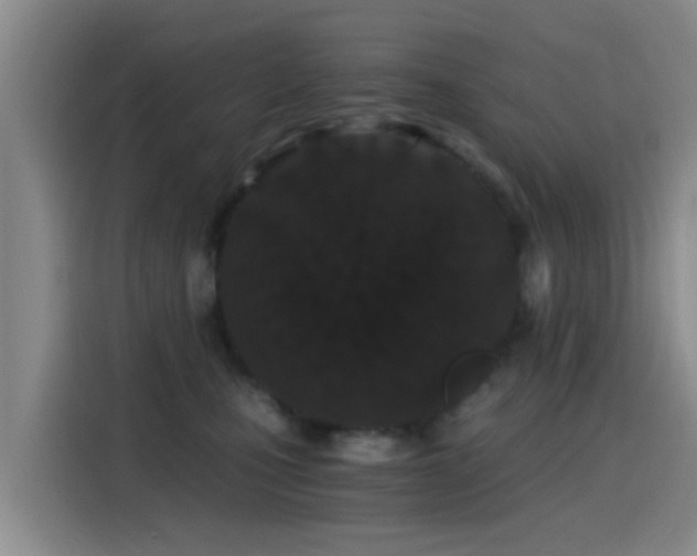 X0000115260471200911061242