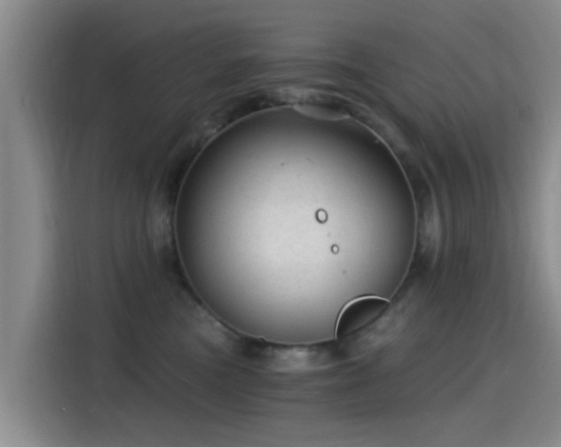 X0000115260473200911061242