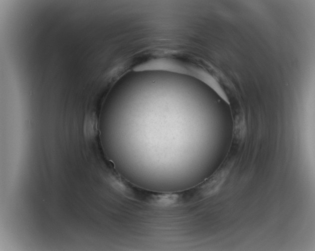 X0000115260474200911061242