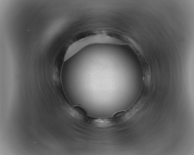 X0000115260477200911061242