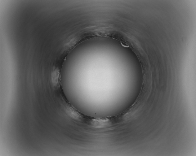 X0000115260480200911061242