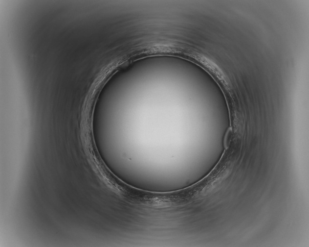 X0000115260481200911061242
