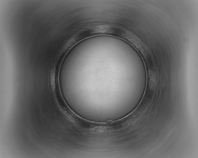X0000115260482200911061242