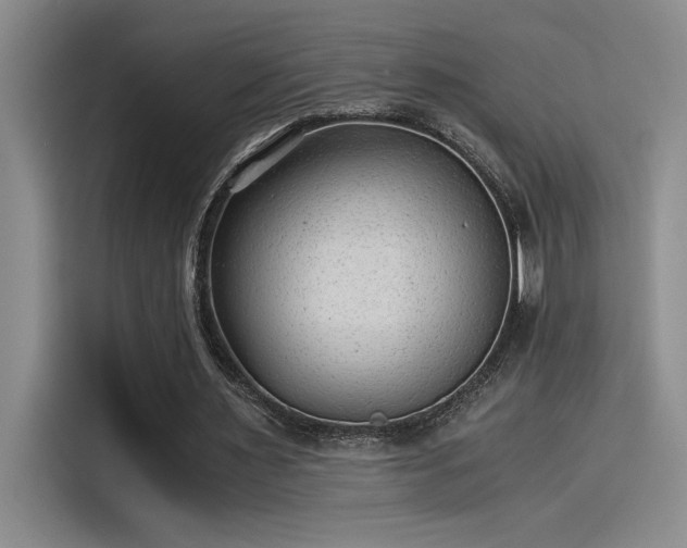 X0000115260483200911061242