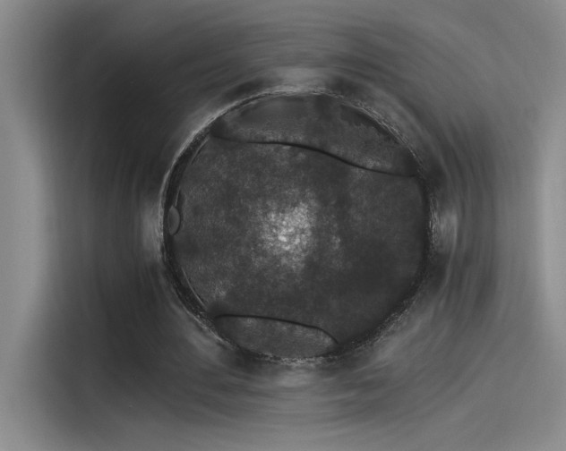 X0000115260484200911061242