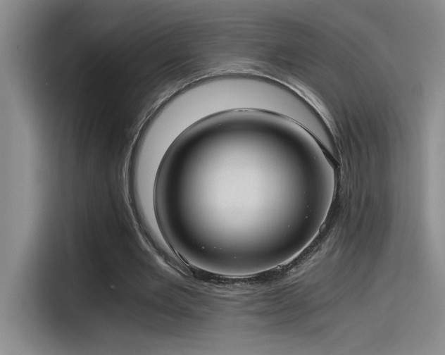 X0000115260485200911061242