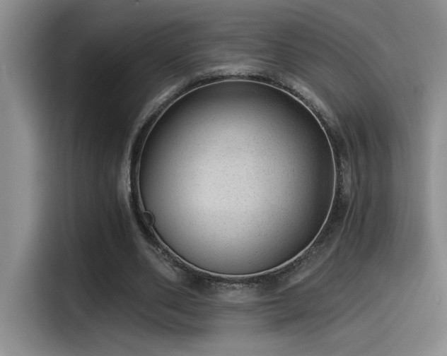 X0000115260486200911061242