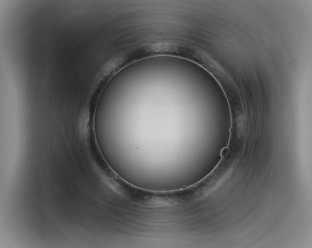 X0000115260490200911061242