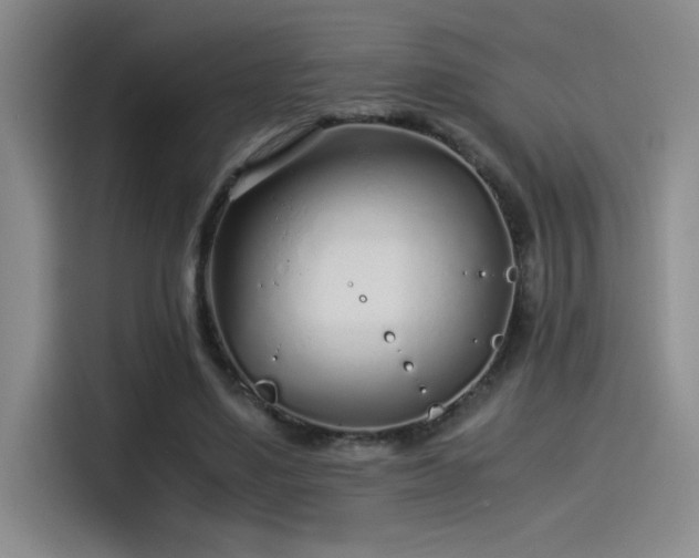 X0000115260491200911061242