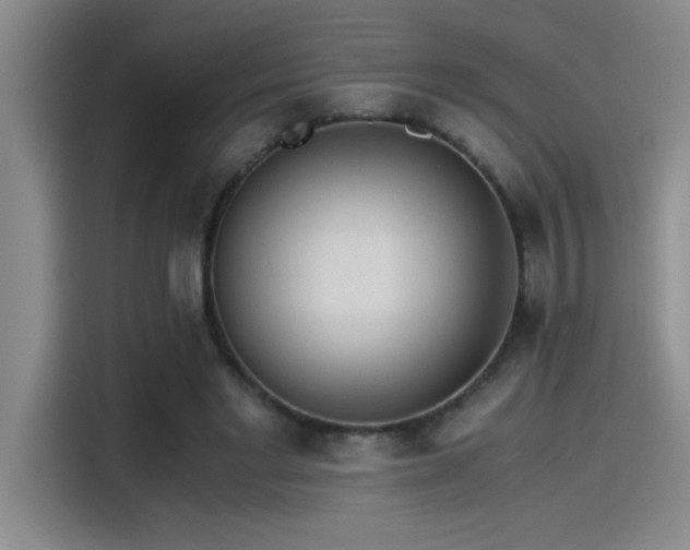 X0000115260493200911061242