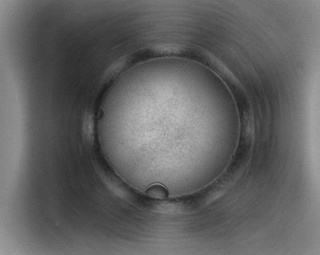 X0000115260494200911061242