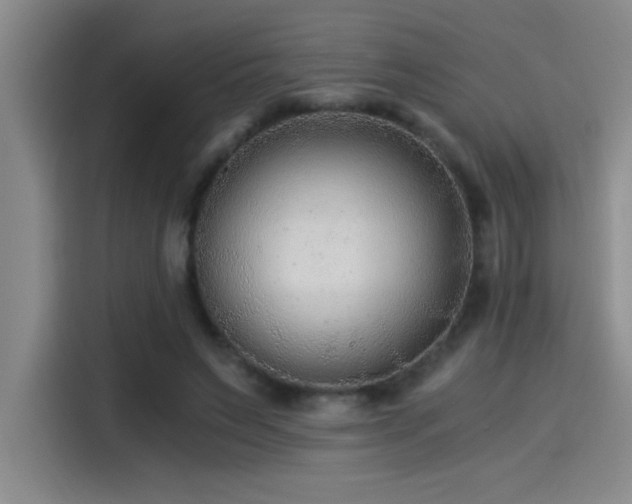 X0000115260495200911061242