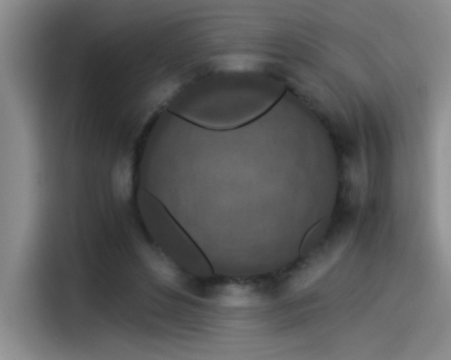 X0000115260496200911061242
