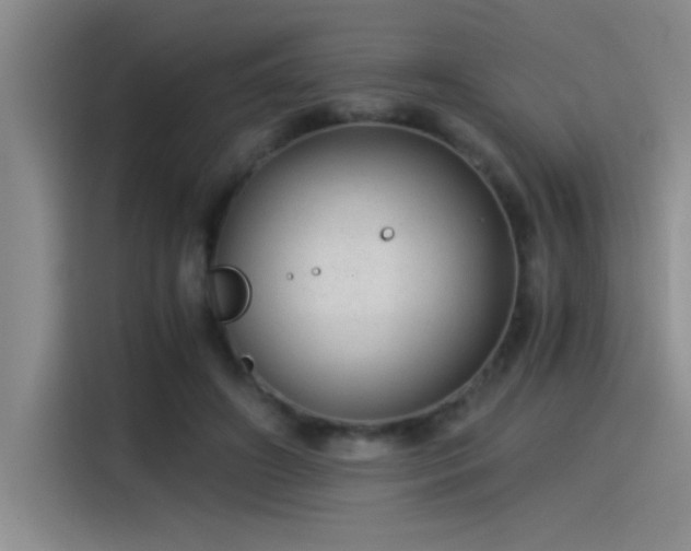 X0000115260498200911061242