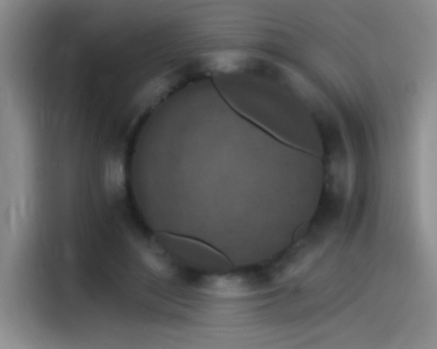 X0000115260500200911061241