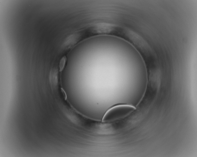 X0000115260501200911061241