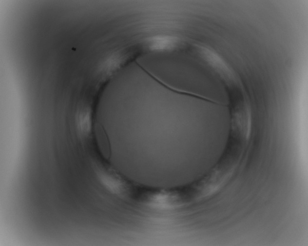 X0000115260504200911061241