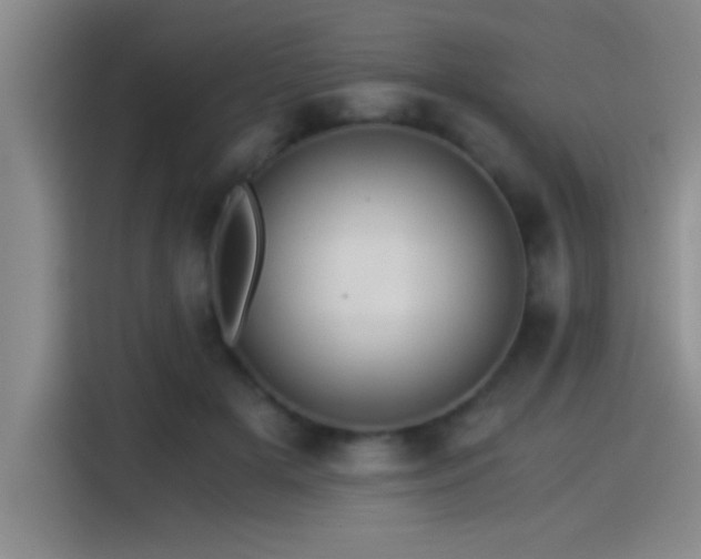 X0000115260505200911061241