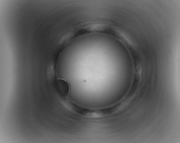 X0000115260506200911061241
