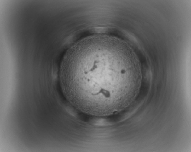 X0000115260507200911061241