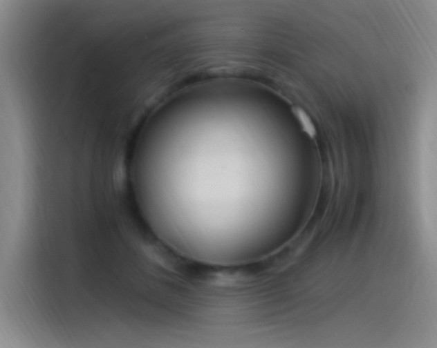 X0000115260508200911061241