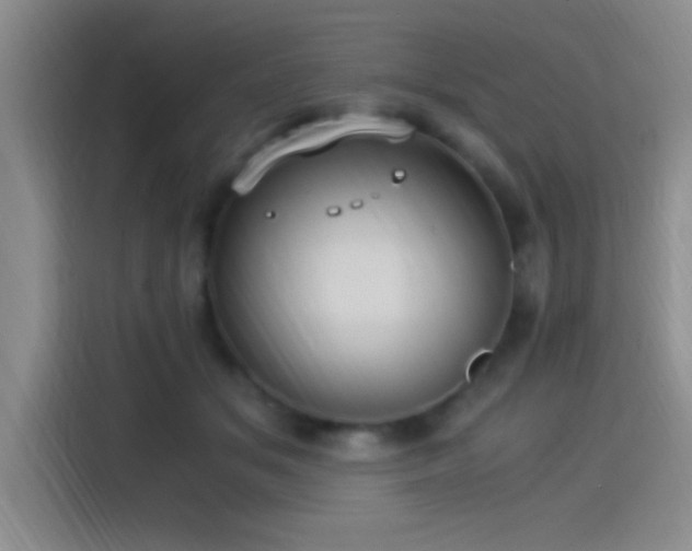 X0000115260509200911061241