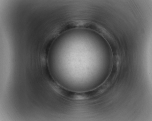 X0000115260510200911061241