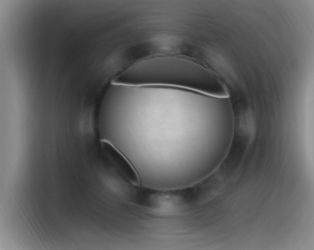 X0000115260512200911061241