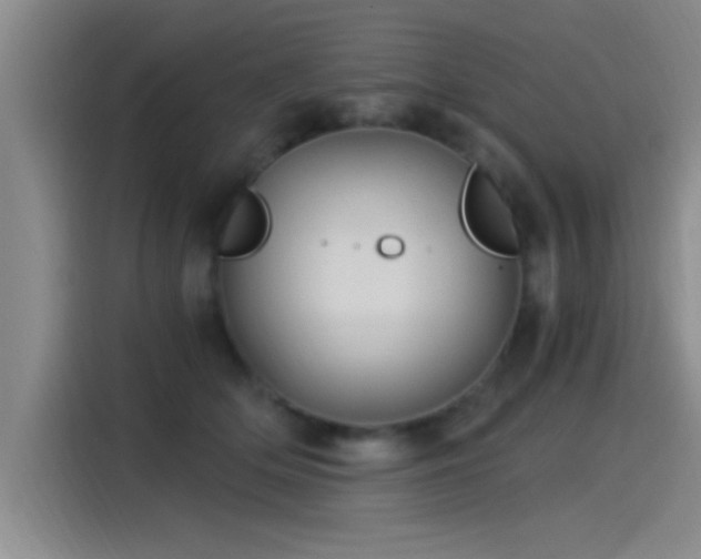 X0000115260514200911061241