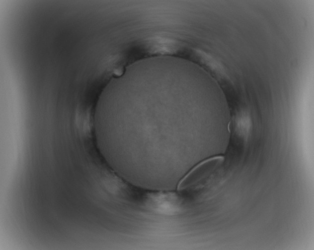 X0000115260517200911061241