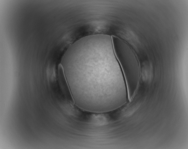 X0000115260520200911061241