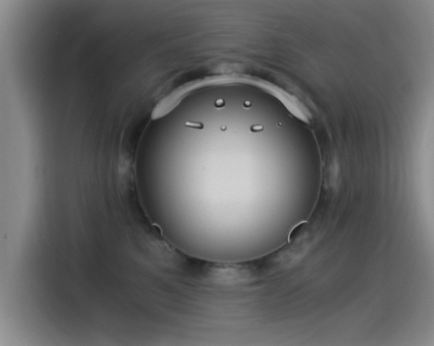 X0000115260521200911061241