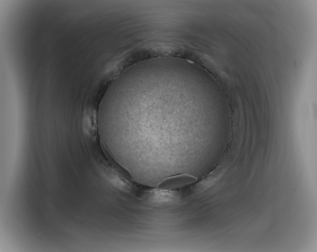 X0000115260528200911061241