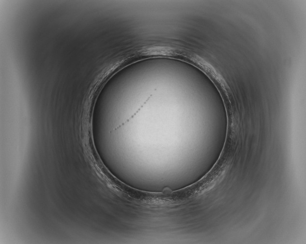 X0000115260529200911061241