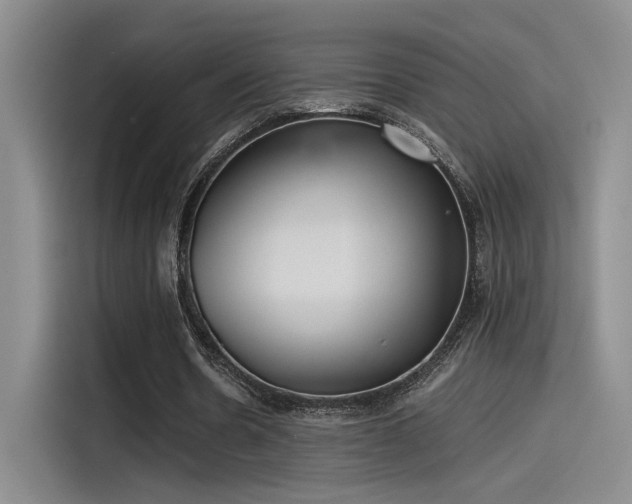 X0000115260530200911061241