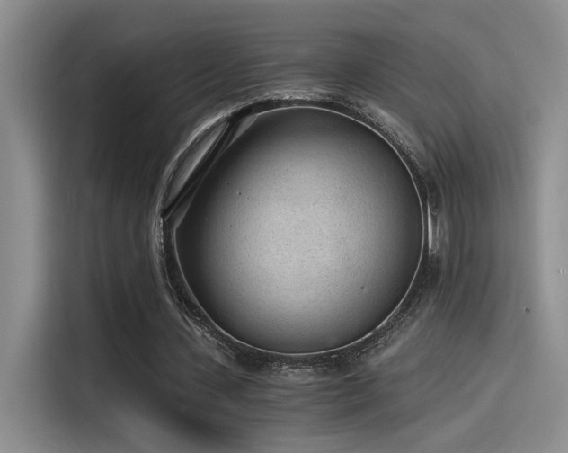 X0000115260531200911061241