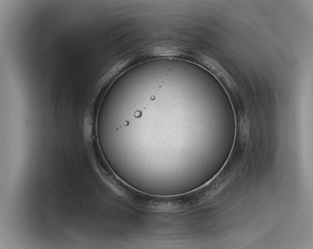 X0000115260533200911061241