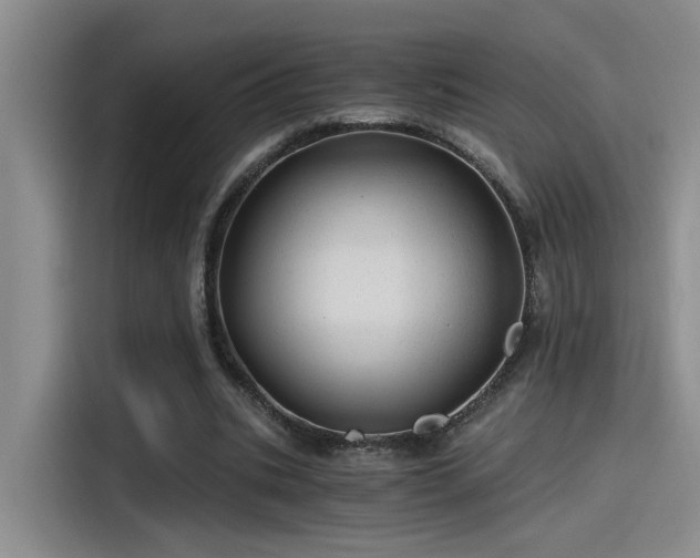 X0000115260535200911061241