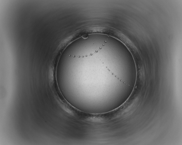 X0000115260537200911061241